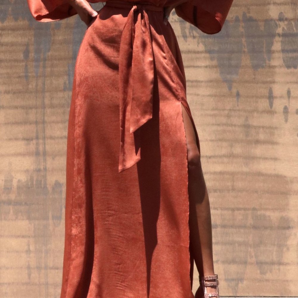 FORBIDDEN DRESS - Picture 3 of 4
